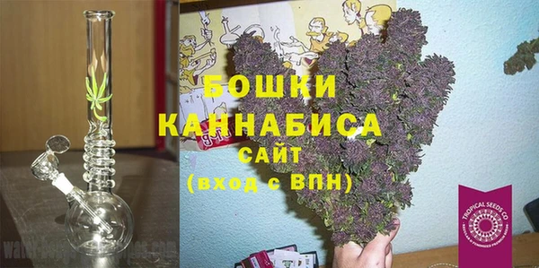ГАЛЛЮЦИНОГЕННЫЕ ГРИБЫ Белокуриха
