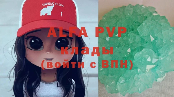 ГАЛЛЮЦИНОГЕННЫЕ ГРИБЫ Белокуриха